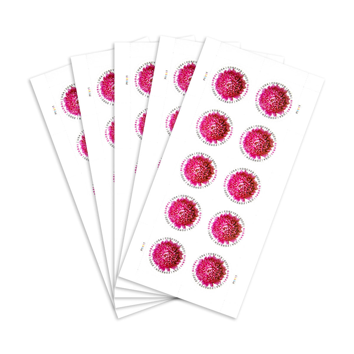 2020 Global Chrysanthemum International First Class Forever US Postage Stamps